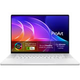 ASUS ProArt P16 (H7607BA-SE310X), Notebook weiß, NVIDIA RTX Spark N1X, NVIDIA Blackwell RTX 6144-Core GPU, 48 GB LPDDR5X, 1 TB (1 TB SSD), Windows 11 Pro