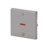 Busch-Jaeger Kontrollwippe mit Aufdruck Ein Aus edelstahl, Retail