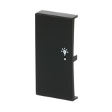 Busch-Jaeger Wippe matt future linear schwarz, Retail