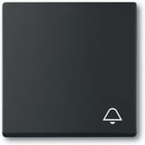 Busch-Jaeger Wippe mit Aufdruck 2520 Klingel Symbol schwarz, Retail