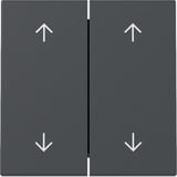 Gira Wippe zweifach mit Pfeilsymbolen anthrazit, Retail