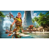 Sony Interactive Entertainment Horizon Forbidden West , PlayStation 5-Spiel 