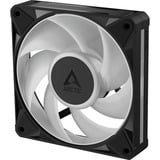 ARCTIC BioniX P14 A-RGB, Gehäuselüfter schwarz/weiß, 3er Pack, 140 mm