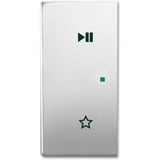 Busch-Jaeger Wippe 6237-21-866 edelstahl, Retail