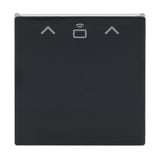 Busch-Jaeger Zentrale Scheibe Cardschalter Radiofrequenzidentifikation, Abdeckung anthrazit, Retail