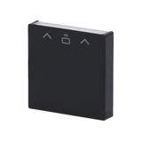 Busch-Jaeger Zentrale Scheibe Cardschalter Radiofrequenzidentifikation, Abdeckung anthrazit, Retail