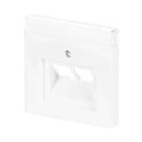 Busch-Jaeger Zentralscheibe Datenanschluss/Schrägauslass für UAE-Anschlussdosen Typ 1803-02-84, Abdeckung weiß (glänzend), Retail