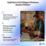 HP OmniBook Ultra 14-fd0097ng, Notebook silber, AMD Ryzen AI 9 HX 375, AMD Radeon 890M, 32 GB LPDDR5X, 1 TB (1 TB SSD), Windows 11 Home 64-Bit