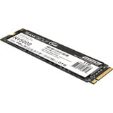 Team Group NV5000 1 TB, SSD PCIe 4.0 x4 NVMe | M.2 2280 | Graphen-Kühlkörper