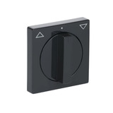 Busch-Jaeger Zentralscheibe mit Drehgriff für Jalousie, Abdeckung anthrazit, Retail