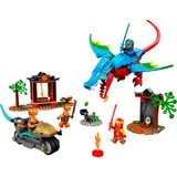 LEGO 71759 Ninjago Drachentempel, Konstruktionsspielzeug 