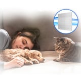 Medion Life P2000 (MD 11905), Bodenstaubsauger schwarz/blau