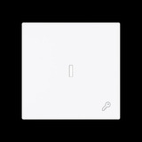 Busch-Jaeger Wippe mit Symbol Schlüssel mit transparenter Kalotte weiß, Retail