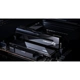 G.Skill CU-DIMM 48 GB DDR5-8200 (2x 24 GB) Dual-Kit, Arbeitsspeicher schwarz, F5-8200C4052G24GX2-TZ5CK, Trident Z5 CK, INTEL XMP