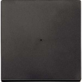 Merten Wippe einteilig 1-fach System M mit Kontrollfenster, Kunststoff, matt, IP20, IK01 anthrazit, Retail