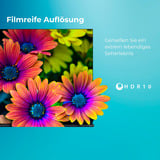 Toshiba 24WV2F63DAZ, LED-Fernseher 60 cm (24 Zoll), schwarz, WXGA, VIDAA-Betriebssystem