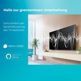 Toshiba 24WV2F63DAZ, LED-Fernseher 60 cm (24 Zoll), schwarz, WXGA, VIDAA-Betriebssystem