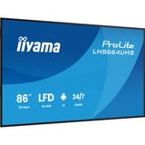 iiyama ProLite LH8664UHS-B3AG, Public Display schwarz (matt), UltraHD/4K, IPS, HDMI, USB-C, USB-Hub