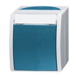 0 Wechselschalter AP mit Namensschild 2601/6 Wippe Taste grau, Retail