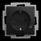 Busch-Jaeger Steckdosen Einsatz 20 EUCBL-915 schwarz, Retail