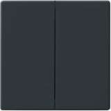 Busch-Jaeger Wippe zweiteilig Serienschalter und Taster anthrazit, Retail