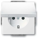 Busch-Jaeger Schutzkontaktsteckdose Einsatz 20 EUKBR-84 weiß, Retail