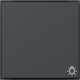 Gira Wippe mit Symbol Licht anthrazit, Retail