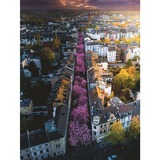 Ravensburger Puzzle: Blühendes Bonn (1500 Teile) 