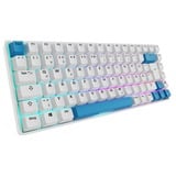 Sharkoon SKILLER SGK50 S3 PBT, Gaming-Tastatur weiß/hellblau, DE-Layout, Gateron G Pro 3.0 Yellow