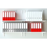 fischer Dübel SX Plus 6x30 PH TX hellgrau, 100 Stück, mit TORX-Schraube