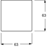 Busch-Jaeger Wippe mit Aufdruck DO NOT DISTURB edelstahl, Retail