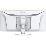 EIZO FlexScan EV3851X, LED-Monitor 95.3 cm (37.5 Zoll), weiß, Curved, HDMI, DP, USB-C, USB-Hub