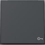 Gira Wippe Symbol Tür anthrazit, Retail