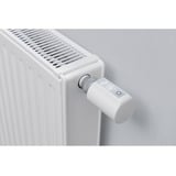 Homematic IP Smart Home Access Point (HMIP-HAP) + 2x Heizkörperthermostat EVO (HmIP-eTRV-E), Set 