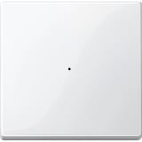 Merten Wippe für Tastermodul einfach, Typ 619119, Thermoplast glänzend, System M weiß (glänzend), Retail