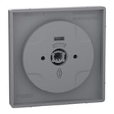 Merten Zentralplatte Edelstahl lackiert aus Thermoplast edelstahl, Retail