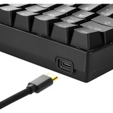 Sharkoon SKILLER SGK50 S4, Gaming-Tastatur schwarz, ES-Layout, Kailh Red