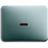 Busch-Jaeger Kontroll Wippe Taster Wechselschalter Kreuzschalter titan, Retail