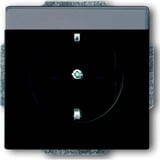 Busch-Jaeger Steckdosen Einsatz 20 EUN-885 schwarz, Retail