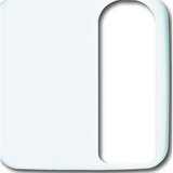 Busch-Jaeger Zentralscheibe Abdeckung für Universalsteckvorrichtung 1790-585-214, Zentralplatte weiß, Retail