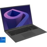 LG gram 17Z90Q-G.AA79G, Notebook grau, Windwos 11 Home 64-Bit, 1 TB SSD