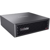 Lenovo ThinkStation PGX (30KL000BGF), Mini-PC schwarz, NVIDIA DGX OS