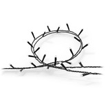 Philips Hue Hue White & Color Ambiance Festavia Lichterkette 40m 