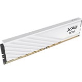 ADATA DIMM 16 GB DDR5-6000, Arbeitsspeicher weiß, AX5U6000C3616G-SLABWH, XPG Lancer Blade, INTEL XMP, AMD EXPO