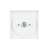 Busch-Jaeger Zentralscheibe Bedienelement, Abdeckung weiß, Retail