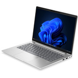 HP EliteBook 6 G2a (E02FRET), Notebook silber, AMD Ryzen 7 PRO 250, AMD Radeon 780M, 32 GB LPDDR5X, 1 TB (1 TB SSD), Windows 11 Pro