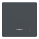 Merten Wippe Kontrollfenster anthrazit, Retail