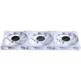Phanteks M25G2-140 D-RGB Triple Pack, Gehäuselüfter weiß, 3er-Pack, 140 mm