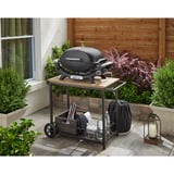 Weber Gasgrill Q 2100N schwarz, 4,10 kW