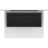 Apple MacBook Pro (14") 2024 CTO, Notebook silber, 36 GB, 1 TB (1 TB SSD), M4 Max, MacOS, Deutsch, Nanotexturglas